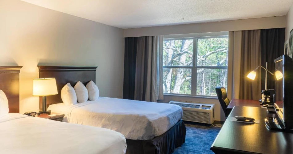 Top-Rated Bed and Breakfasts Near Kings Dominion for a Charming Stay