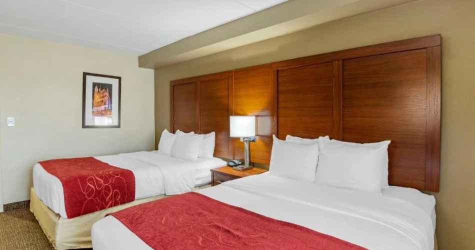 Top-Rated Bed and Breakfasts Near Kings Dominion for a Charming Stay