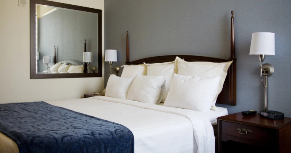 Pet-Friendly Hotels Near Kings Dominion for Your Furry Travel Companions