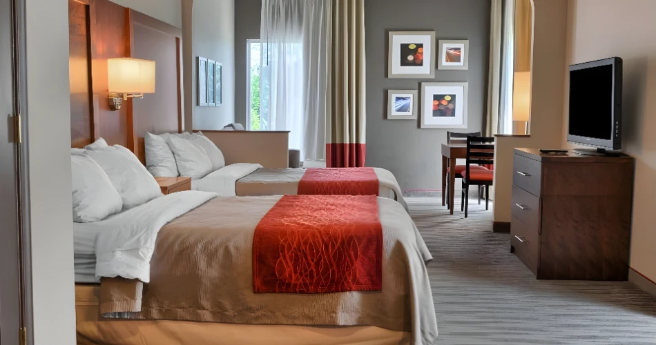 Pet-Friendly Hotels Near Kings Dominion for Your Furry Travel Companions